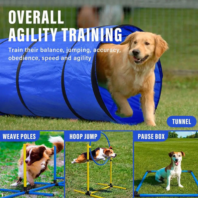 Túnel de entrenamiento de agil - Sports Equipment Warehouse reseña y precio