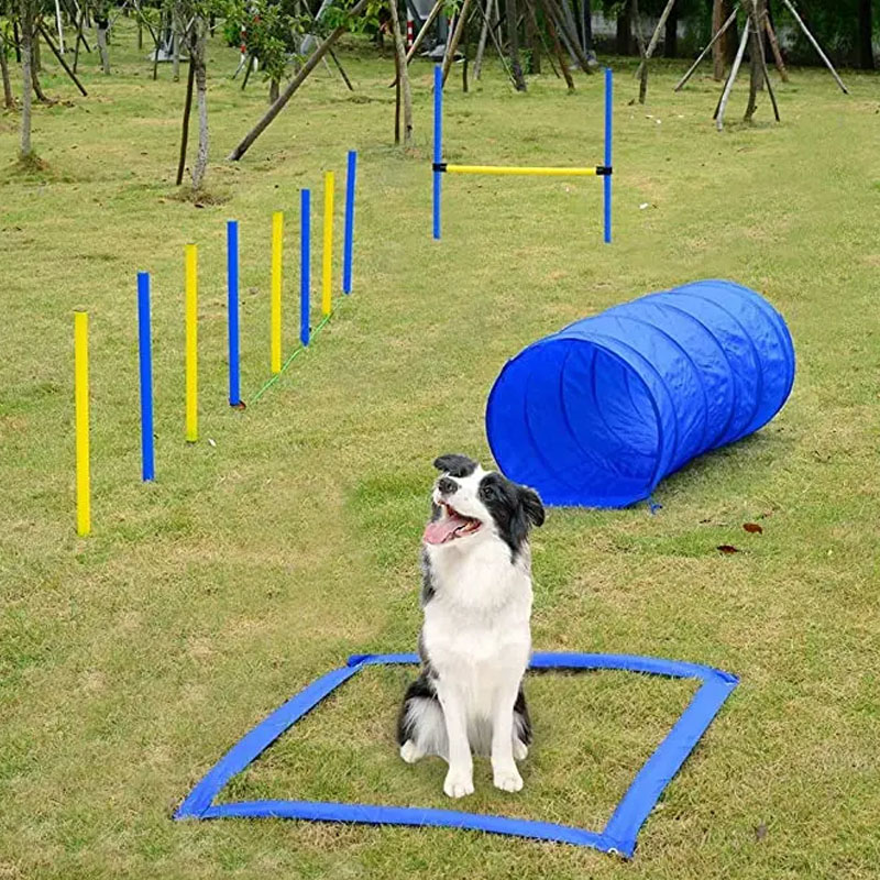Túnel de entrenamiento de agil - Sports Equipment Warehouse reseña y precio