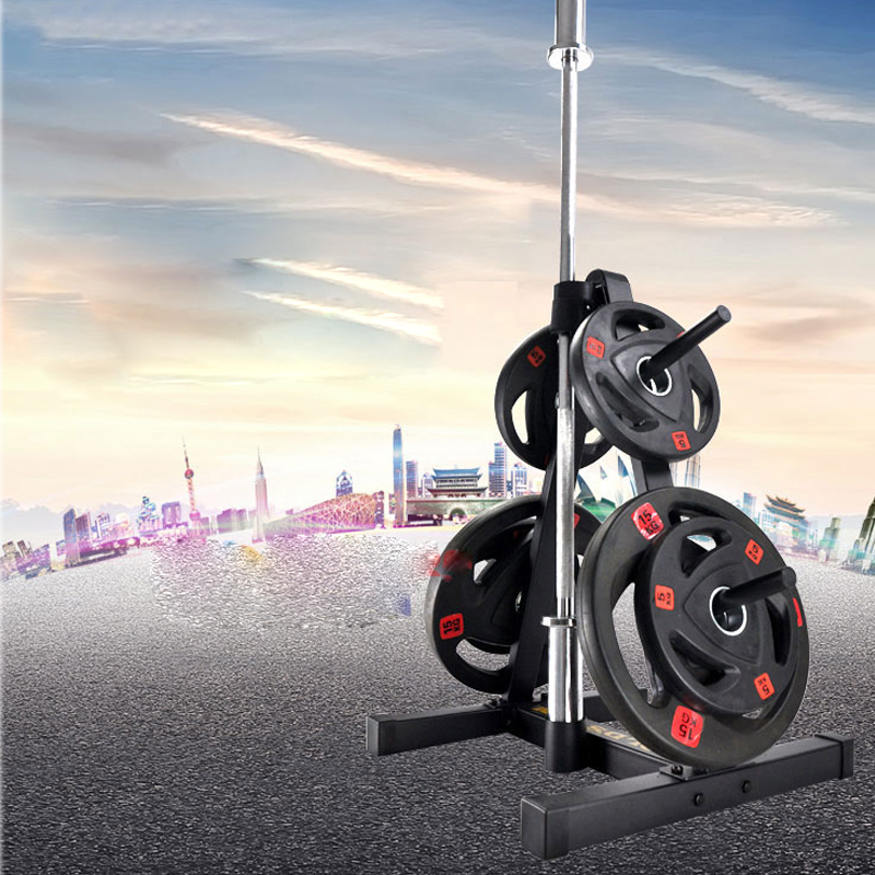 Soporte de barra para gimnasio - Sports Equipment Rack reseña y precio
