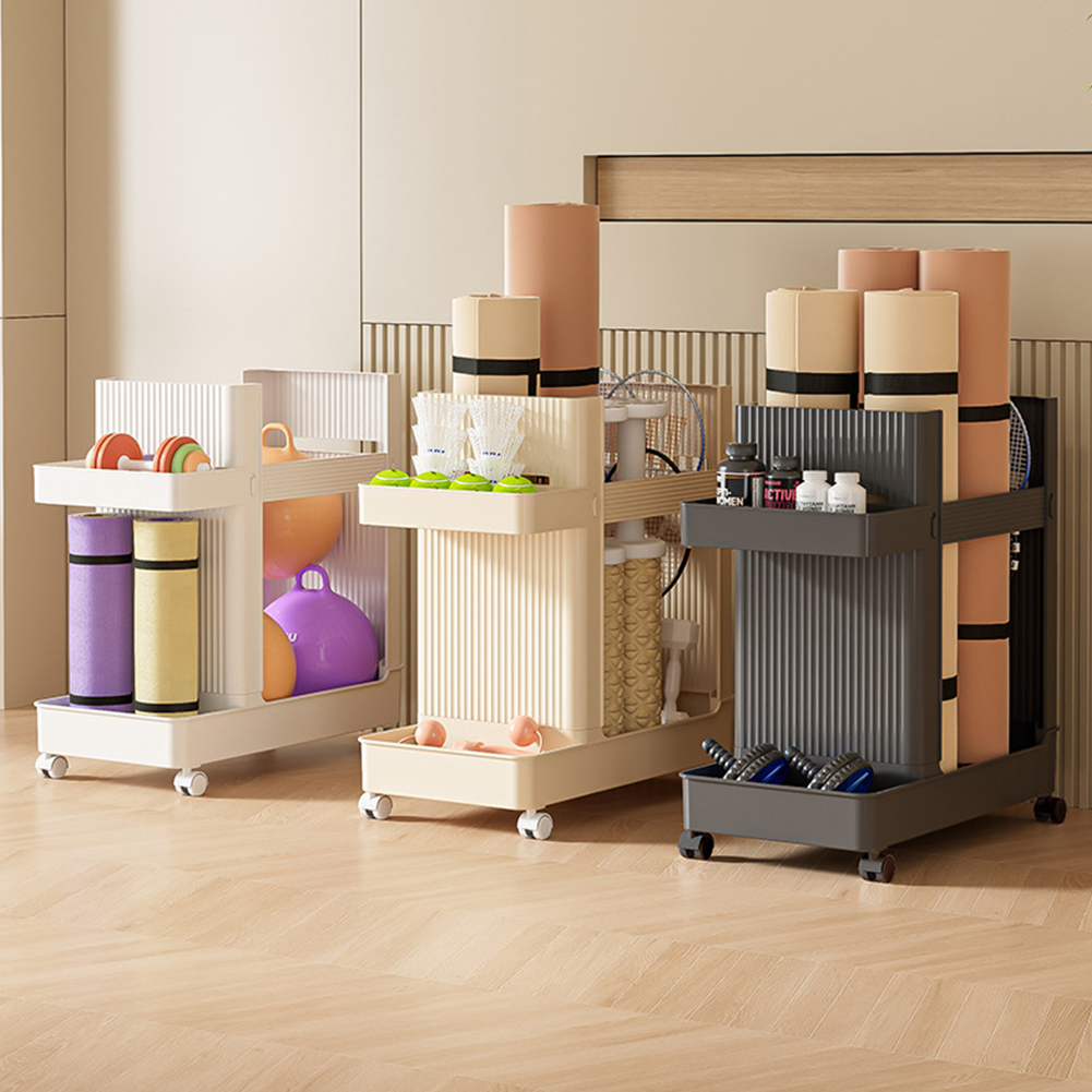 Soporte para Equipos de Gimnas - Sports Equipment Storage Rack reseña y precio